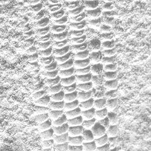 La obra habla de....