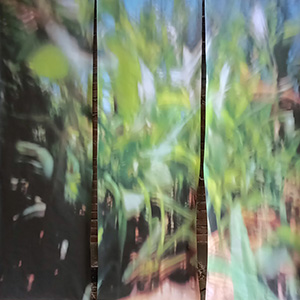 La obra habla de....