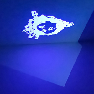 La obra habla de....