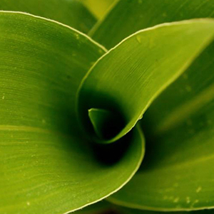 La obra habla de....