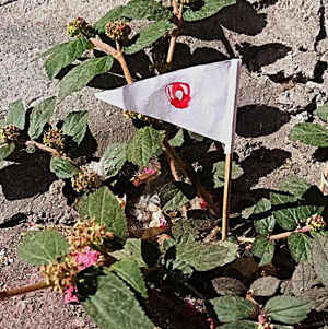 La obra habla de....